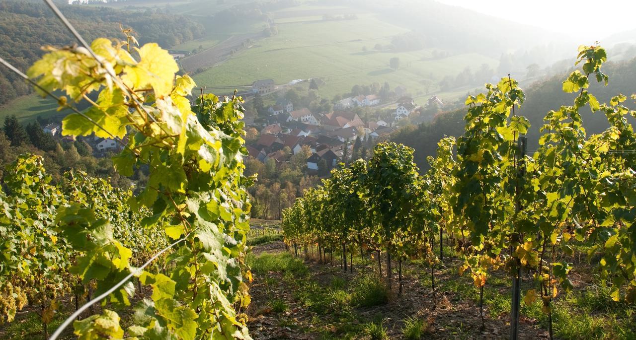 Weingut Hees - Landgasthof Zum Jaeger Aus Kurpfalz Auen Exterior photo