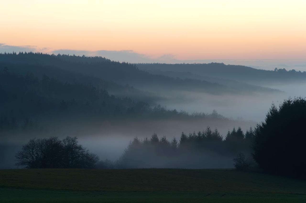 Weingut Hees - Landgasthof Zum Jaeger Aus Kurpfalz Auen Exterior photo