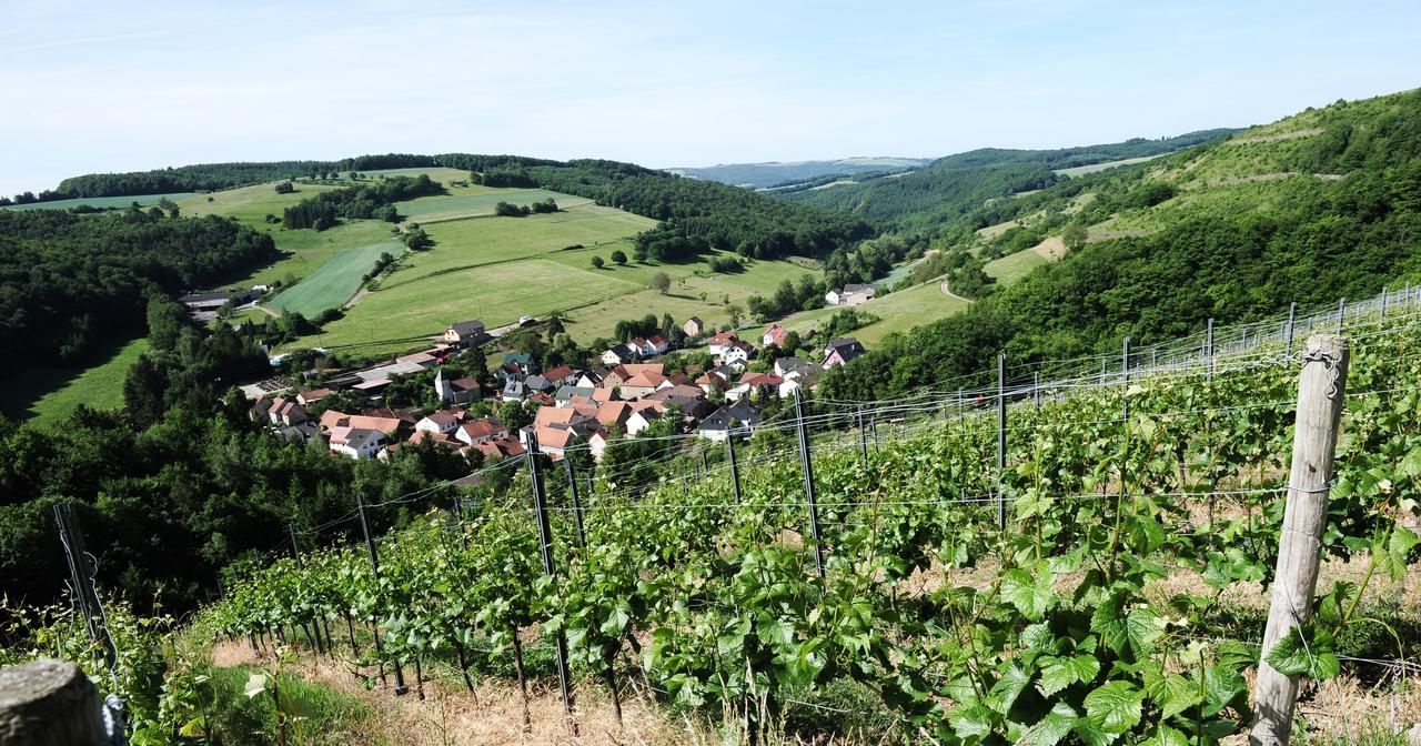 Weingut Hees - Landgasthof Zum Jaeger Aus Kurpfalz Auen Exterior photo